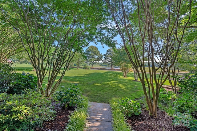 3506 Cardiff Ln, Matthews, NC 28104 - view of green lawn