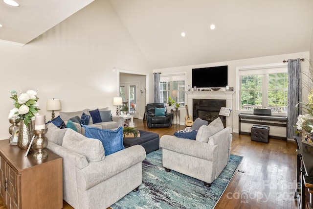 33 Stone House Rd, Arden, NC 28704 - living room featuring high vaulted ceiling, a fireplace, recessed lighting, and wood finished floors