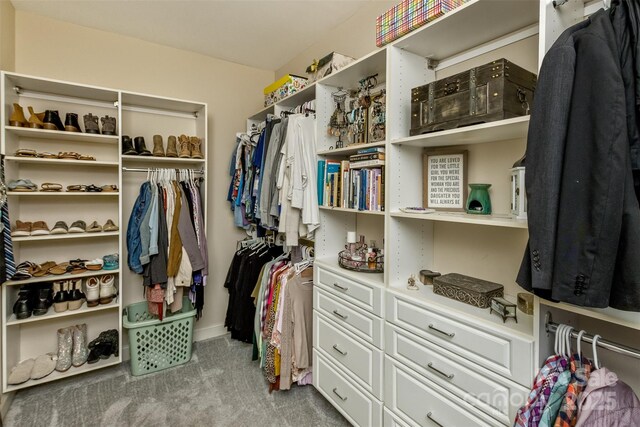 33 Stone House Rd, Arden, NC 28704 - walk in closet featuring carpet flooring