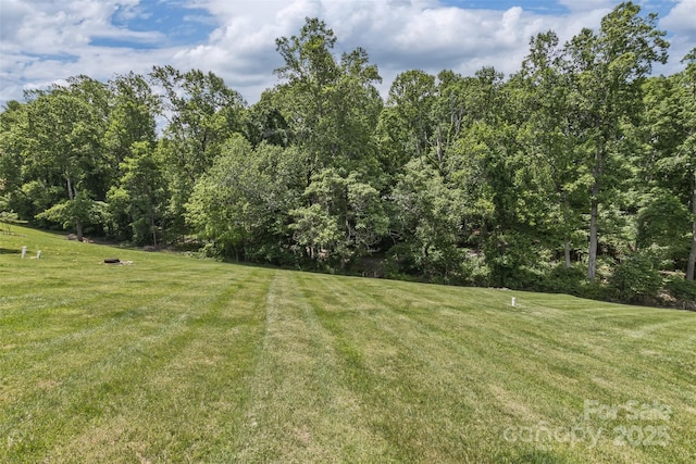 33 Stone House Rd, Arden, NC 28704 - view of green lawn