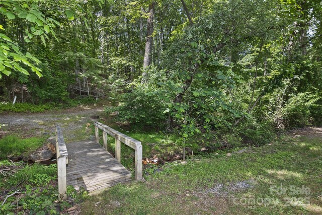 33 Stone House Rd, Arden, NC 28704 - view of yard