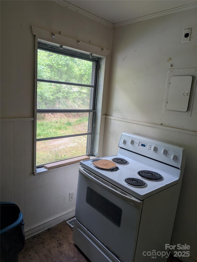 720 New Market Rd, Tryon, NC 28782 - kitchen featuring electric range, wainscoting, dark wood-type flooring, ornamental molding, and wooden walls