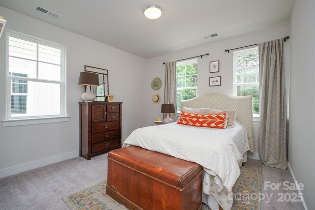 711 Beaty St, Davidson, NC 28036 - bedroom with light carpet and baseboards