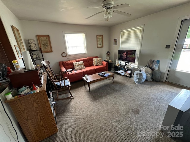 4414 Birkdale Dr, Charlotte, NC 28208 - photo 20