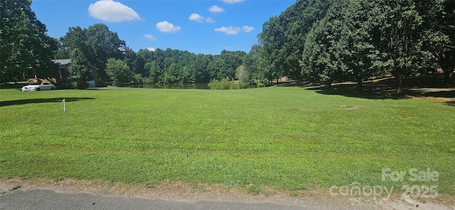 6339 Farmlake Dr Unit 13, Mint Hill, NC 28227 - photo 22