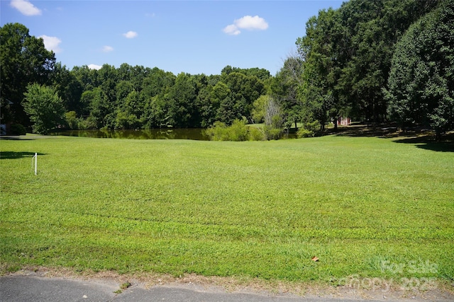 6339 Farmlake Dr Unit 13, Mint Hill, NC 28227 - photo 2