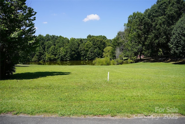 6339 Farmlake Dr Unit 13, Mint Hill, NC 28227 - photo 4