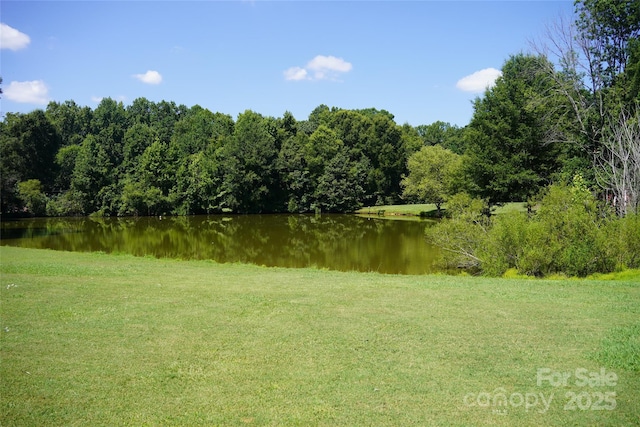 6339 Farmlake Dr Unit 13, Mint Hill, NC 28227 - photo 6