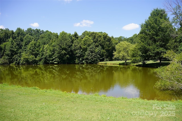 6339 Farmlake Dr Unit 13, Mint Hill, NC 28227 - photo 8