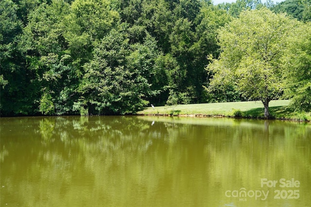 6339 Farmlake Dr Unit 13, Mint Hill, NC 28227 - photo 13