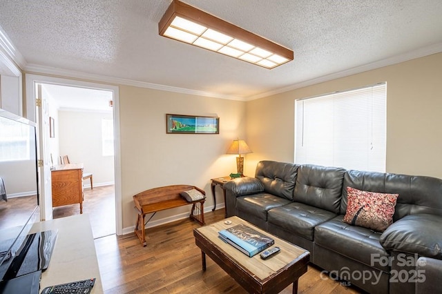 5430 Ela Rd, Whittier, NC 28789 - living area featuring ornamental molding, wood finished floors, a textured ceiling, plenty of natural light, and baseboards