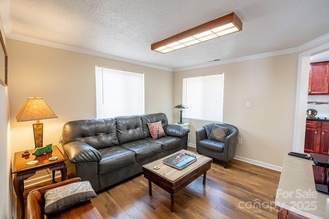 5430 Ela Rd, Whittier, NC 28789 - living area with hardwood / wood-style floors, ornamental molding, a textured ceiling, and baseboards