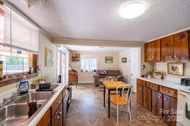 5430 Ela Rd, Whittier, NC 28789 - kitchen with a sink, a textured ceiling, light countertops, open floor plan, and ornamental molding