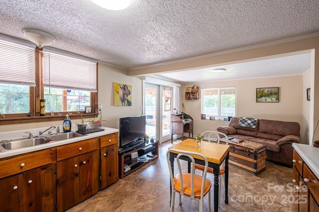 5430 Ela Rd, Whittier, NC 28789 - living area with ornamental molding and a textured ceiling