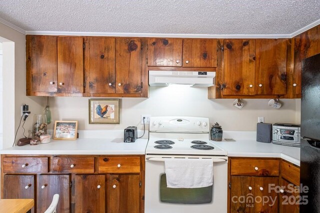 5430 Ela Rd, Whittier, NC 28789 - kitchen with white electric range oven, under cabinet range hood, a textured ceiling, light countertops, and ornamental molding