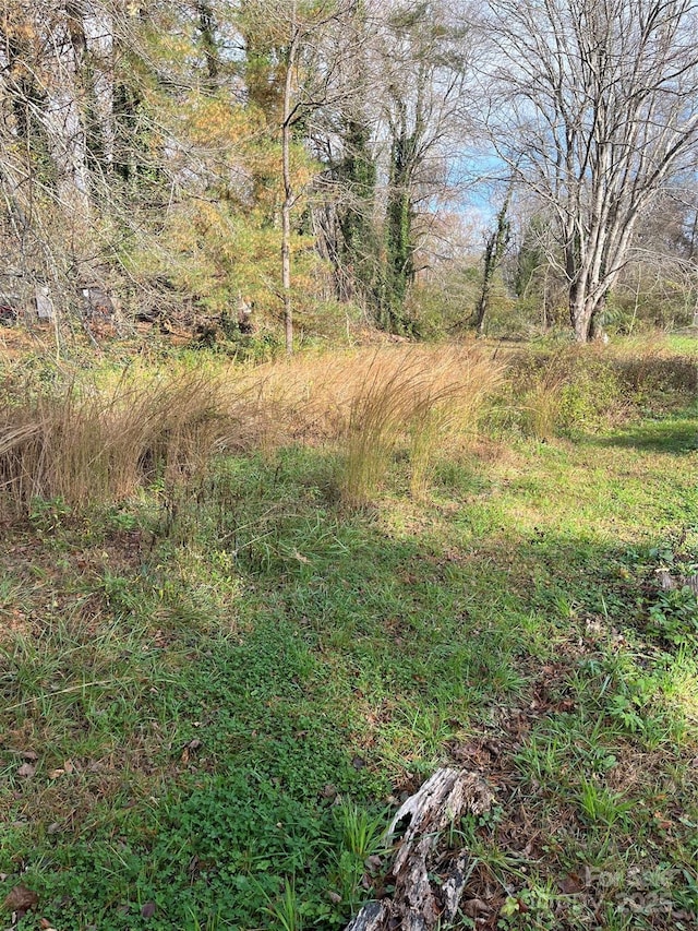 1208 W Gilbert St, Hendersonville, NC 28792