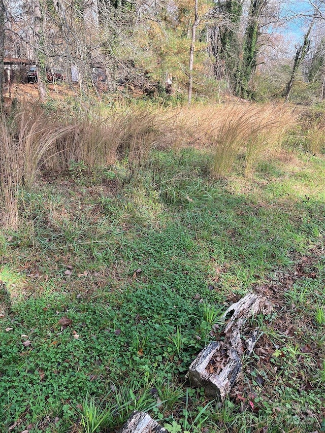 1208 W Gilbert St, Hendersonville, NC 28792