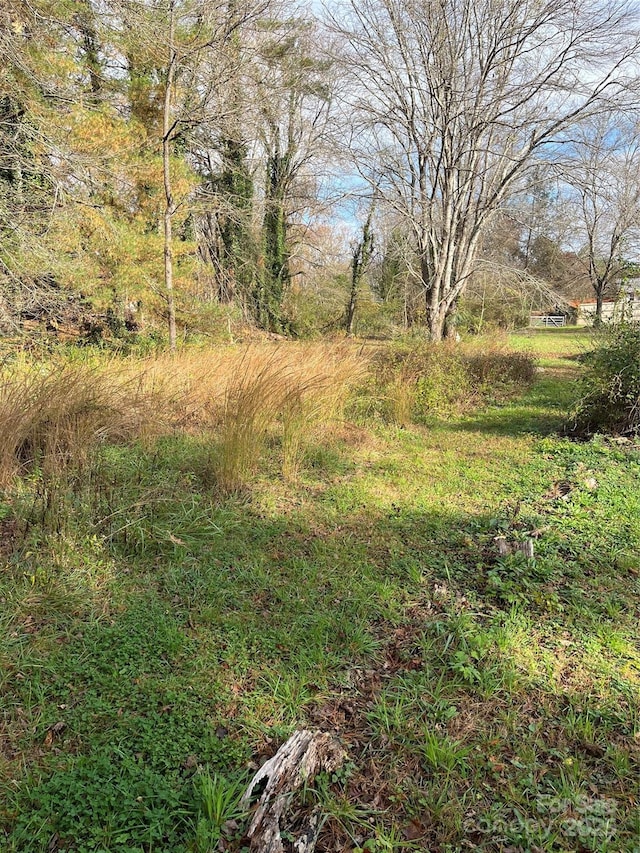1208 W Gilbert St, Hendersonville, NC 28792
