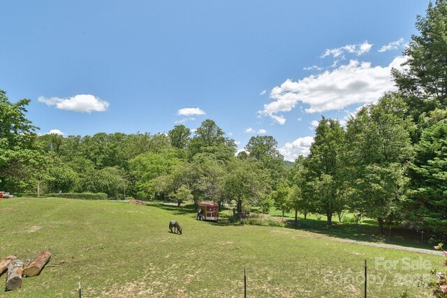 65 E Dream St, Hendersonville, NC 28792 - photo 33