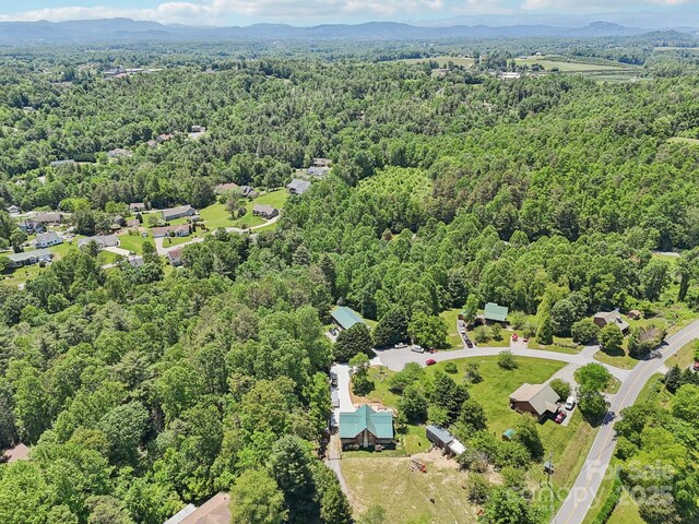 65 E Dream St, Hendersonville, NC 28792 - photo 39