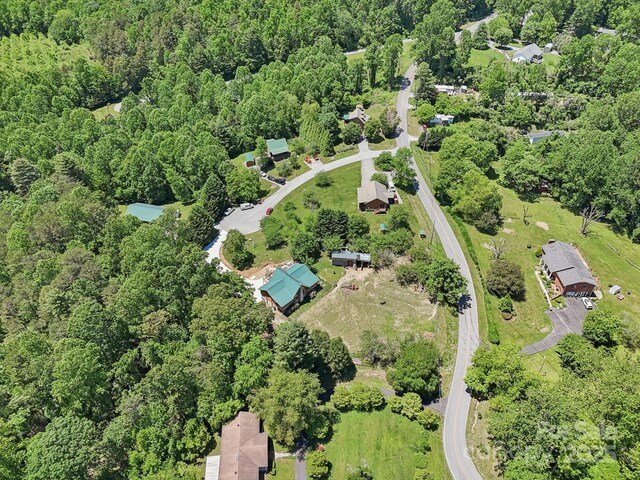 65 E Dream St, Hendersonville, NC 28792 - photo 40