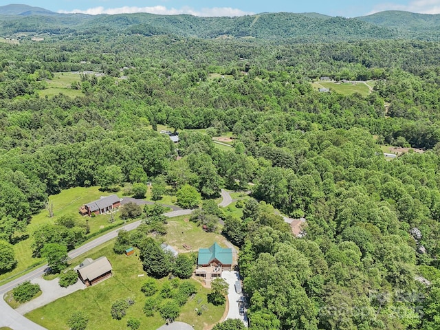 65 E Dream St, Hendersonville, NC 28792 - photo 41
