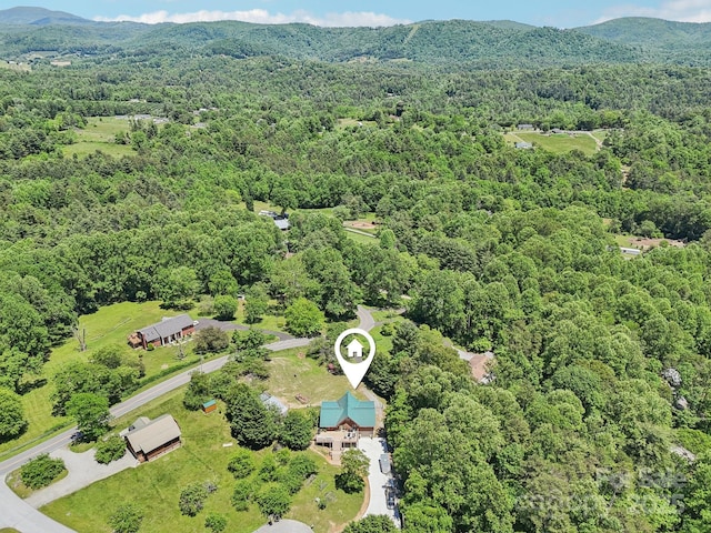 65 E Dream St, Hendersonville, NC 28792 - photo 42