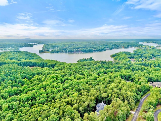 10300 Sweetleaf Pl, Charlotte, NC 28278 - photo 34
