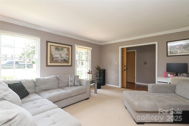 2443 Knickerbocker Dr, Charlotte, NC 28212 - living area featuring crown molding and carpet