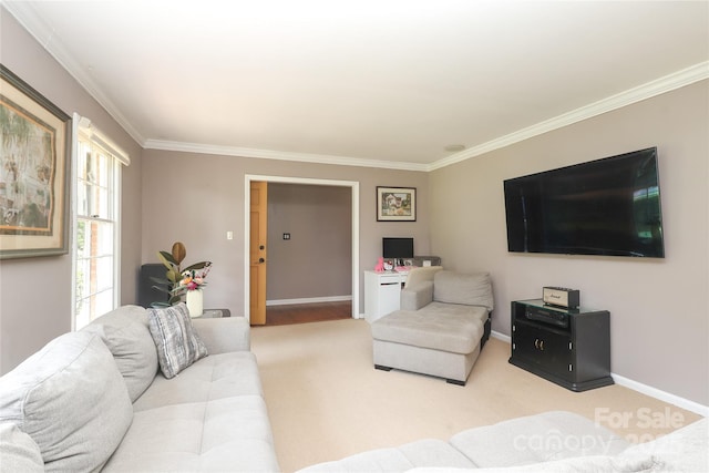 2443 Knickerbocker Dr, Charlotte, NC 28212 - living room featuring ornamental molding
