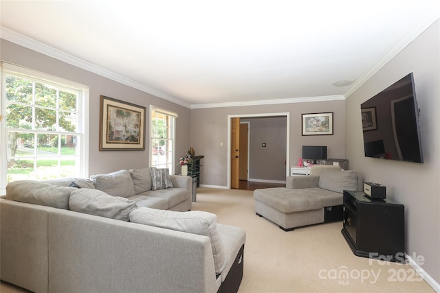 2443 Knickerbocker Dr, Charlotte, NC 28212 - carpeted living room featuring ornamental molding and healthy amount of natural light