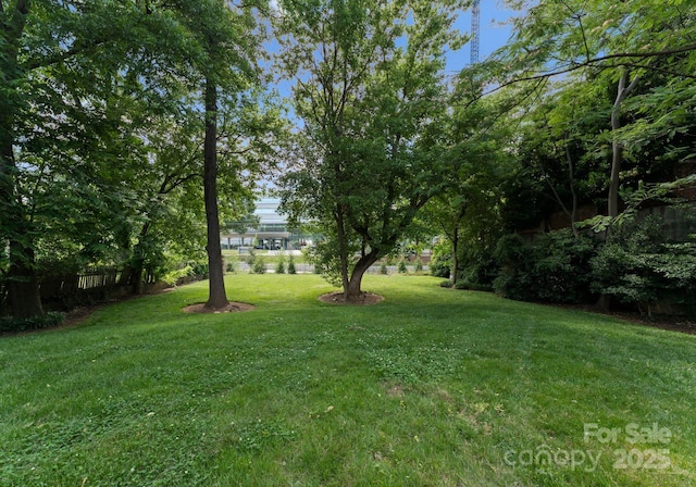1160 S Kings Dr, Charlotte, NC 28207 - view of yard