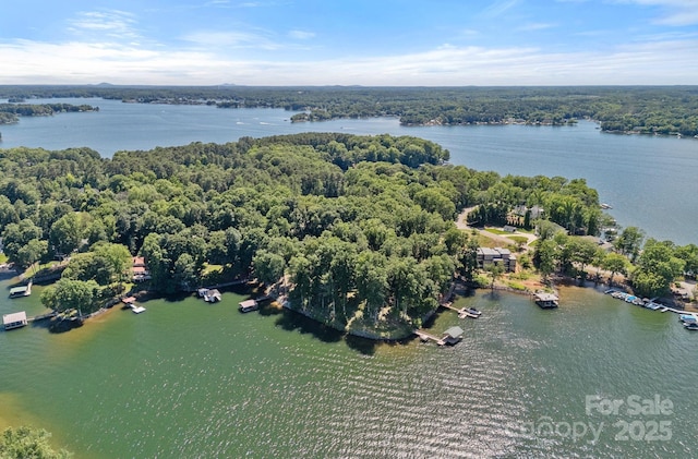 392 Stonemarker Rd, Mooresville, NC 28117 - drone / aerial view of a large body of water and a heavily wooded area