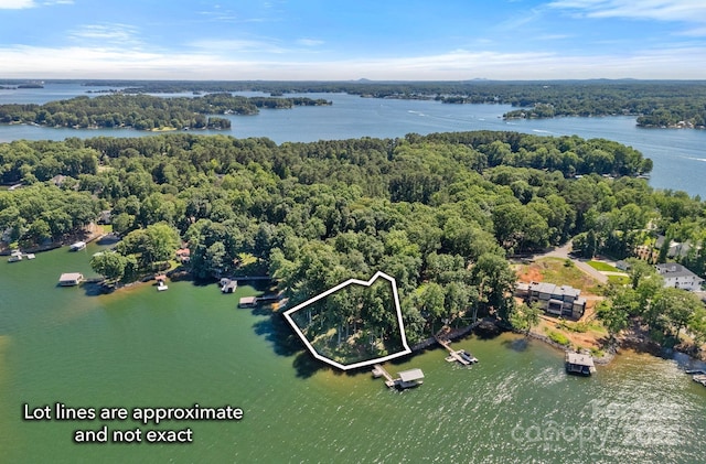 392 Stonemarker Rd, Mooresville, NC 28117 - aerial view of property and surrounding area with property boundaries highlighted, a large body of water, and a forest