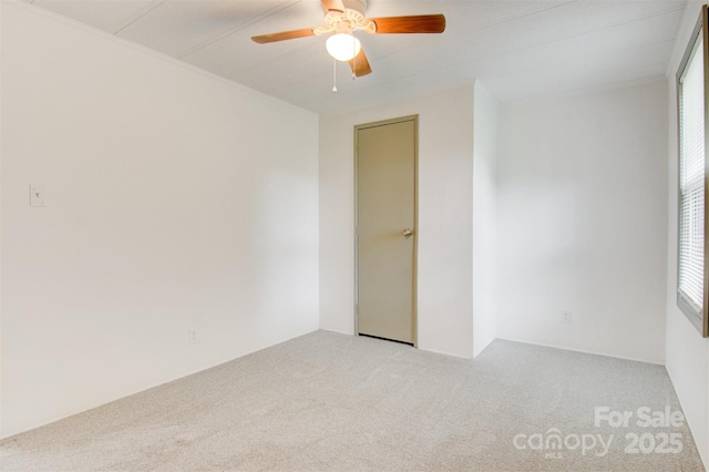 4648 Rifle Range Rd, Conover, NC 28613 - unfurnished room featuring carpet, ceiling fan, and plenty of natural light