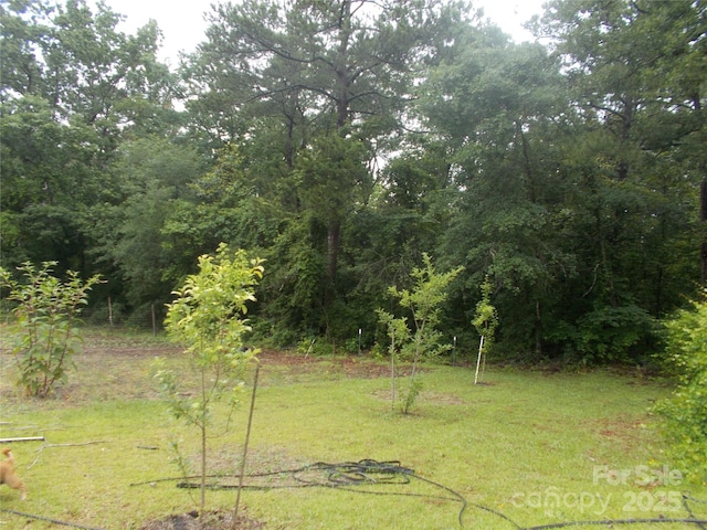 187 Cartledge Creek Rd, Rockingham, NC 28379 - view of green lawn