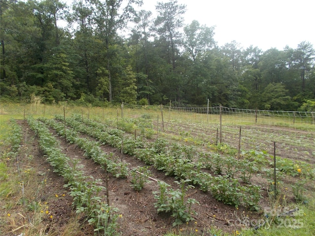 187 Cartledge Creek Rd, Rockingham, NC 28379 - view of yard with a vegetable garden, a view of trees, and a view of rural / pastoral area