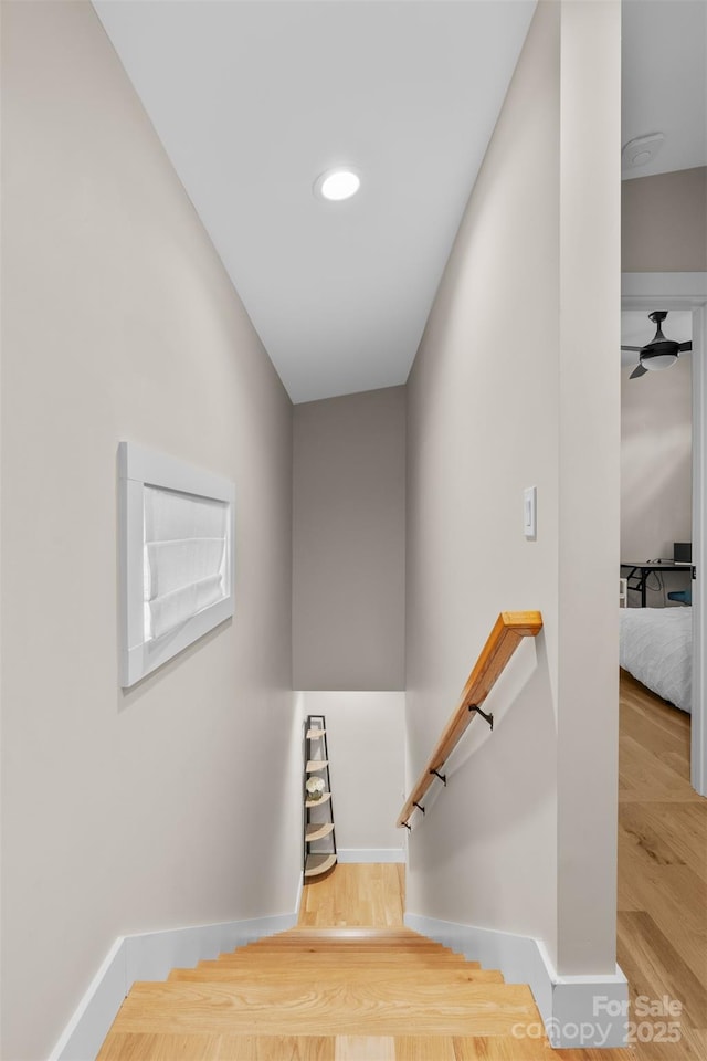109 Thurland Ave, Asheville, NC 28803 - stairway with wood finished floors and baseboards