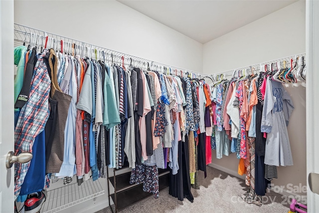 449 Misty Law Ln, Clover, SC 29710 - spacious closet with carpet