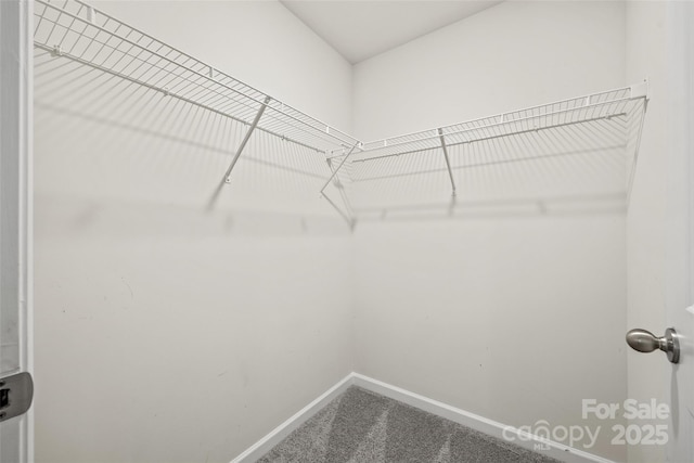 449 Misty Law Ln, Clover, SC 29710 - spacious closet featuring carpet floors