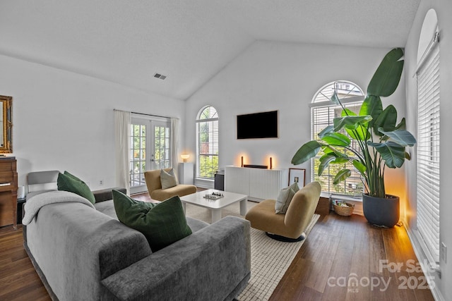 3801 Rosedown Dr, Matthews, NC 28105 - living area featuring french doors, wood finished floors, and high vaulted ceiling