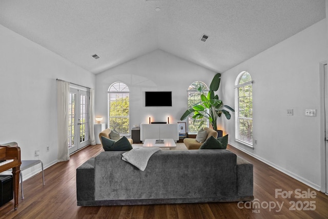 3801 Rosedown Dr, Matthews, NC 28105 - living room featuring vaulted ceiling, dark wood-style floors, baseboards, and a textured ceiling