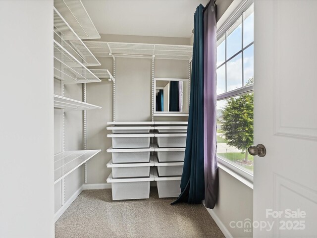 2017 New Hope Branch Way, Belmont, NC 28012 - walk in closet featuring carpet