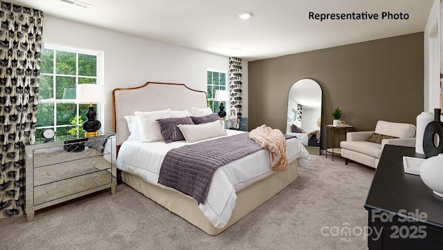 925 Two Brothers Ln, York, SC 29745 - bedroom with carpet flooring and arched walkways