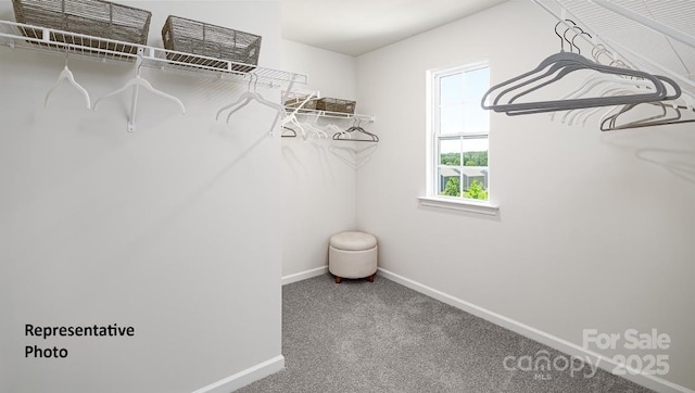 925 Two Brothers Ln, York, SC 29745 - spacious closet featuring carpet flooring