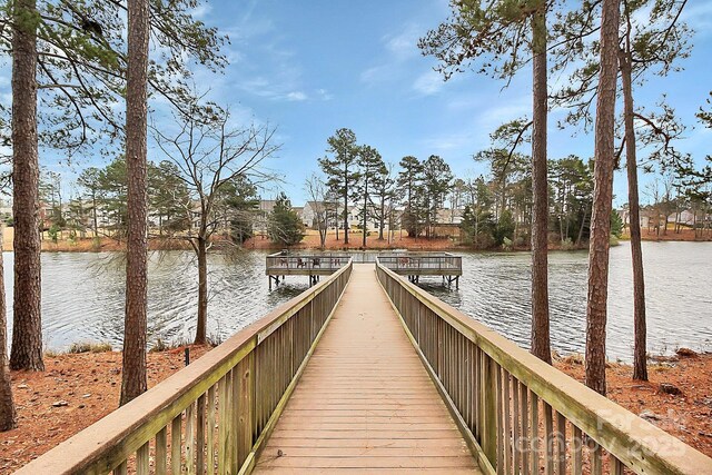 17436 Hawks View Dr, Indian Land, SC 29707 - photo 41