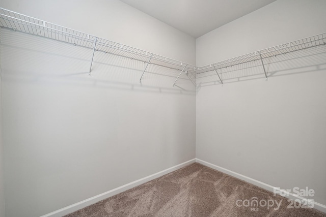 4750 Lakeview Rd N Unit 18, Charlotte, NC 28216 - photo 17