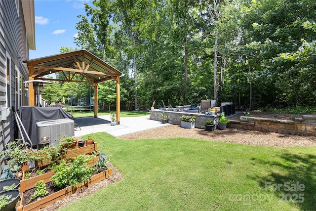 5088 Watersail Way, Clover, SC 29710 - view of green lawn featuring a trampoline, a garden, a patio area, cooling unit, and view of wooded area