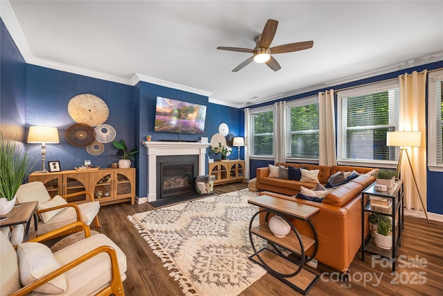 5088 Watersail Way, Clover, SC 29710 - living room with a ceiling fan, wood finished floors, baseboards, ornamental molding, and a fireplace with flush hearth