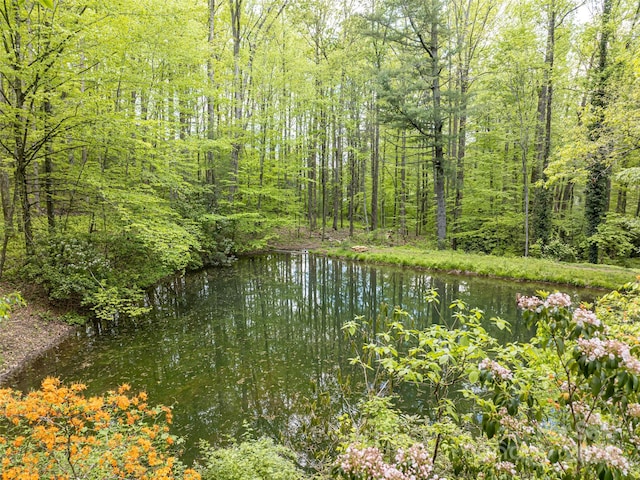 1161 Crab Creek Rd, Hendersonville, NC 28739 - photo 5